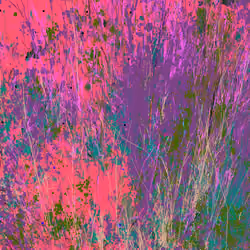 Infinite Garden: 50110 Flowers