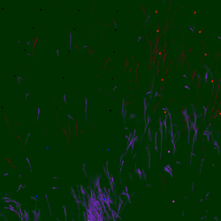 Infinite Garden: 2969 Flowers