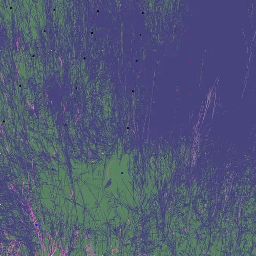 Infinite Garden: 113603 Flowers