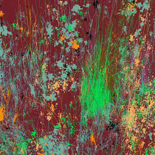 Infinite Garden: 22921 Flowers