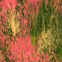 Infinite Garden: 41144 Flowers