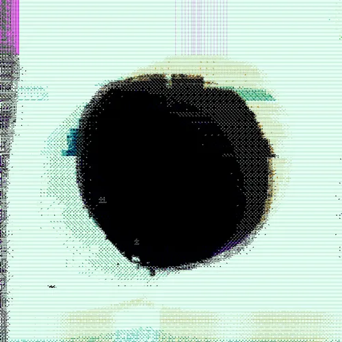 Item #30 Media