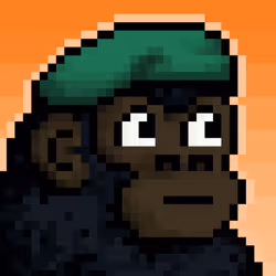 Crazy monkey