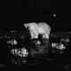 GLITCHGIFs