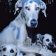 Dogs of Winter