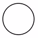 THE CIRCLE