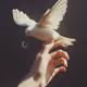 The transformation of inner experience