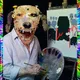 POSH DOG SHIT, FOOD BANKS AND RAGE ROVERS
