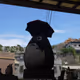 TOTORO