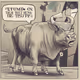 Bullish on Trump