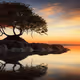 Enlightenment