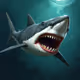 Shape Sharks