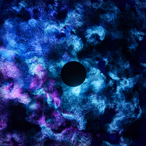 Black Circle on motion