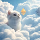 Cats power