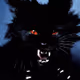 caty