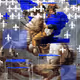Napoleon Crossing the Alps