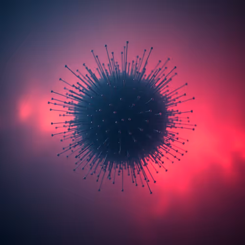 Shapesphere