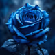 Blue Rose