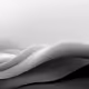 Shape NFT