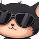 SHAPE_CAT V1