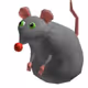 rat