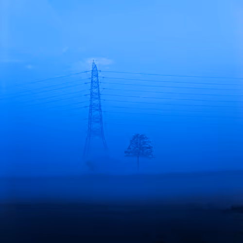 Veil of Stillness