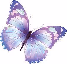 buterfly