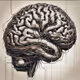 Brain