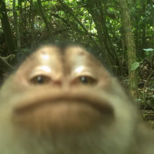 MUNKE