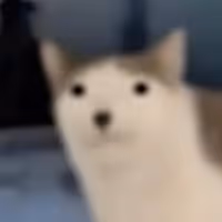 CET