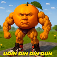 UDIN