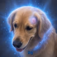 BUDDY