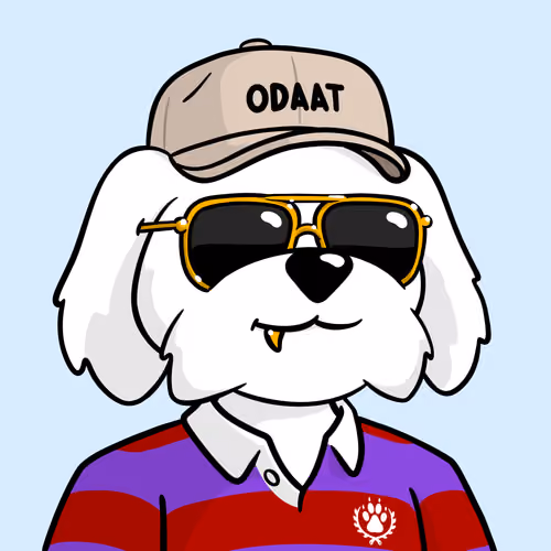 Item #3EkvqAM6GtUboP3xrgfhwusoiCH7vEsKFBWF4KjkZCzL Media