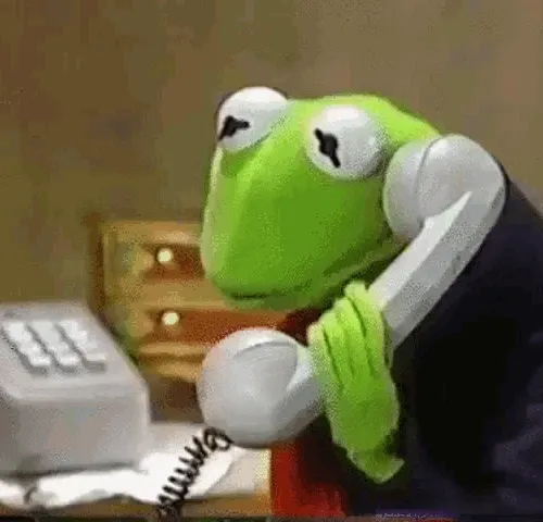 CALLFROG