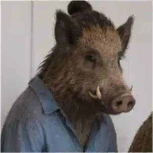 BOAR