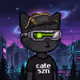 CATE #268