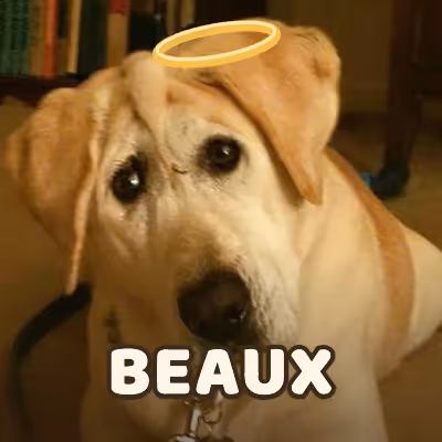BEAUX