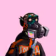 3gQbStbFy6CWRvqfzvDi1TpPwy4ebcd95W9xVGKaQdLB