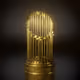 2021 World Series Gold Trophy 18