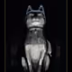 Good Boy Gary