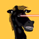 4Qsf8nVCSW8u9irXCMaRkW8HY2yGcixZWnj9JeCBZZU1