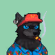 Wolf Capital #5009