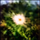 4oDW5BVCjnCaKHbk2MZBpTVjRL1YWpDDoGWcb5M143by