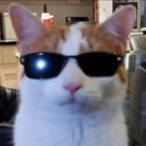 COOLCAT
