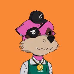 Meerkat #2284
