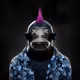 5mgYpcG17bH7XNHzBSPFLkRb2BrSbLUd82YEawKbyUBV
