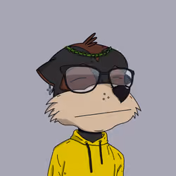 Meerkat #1506