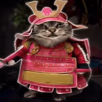 SAMURAICAT