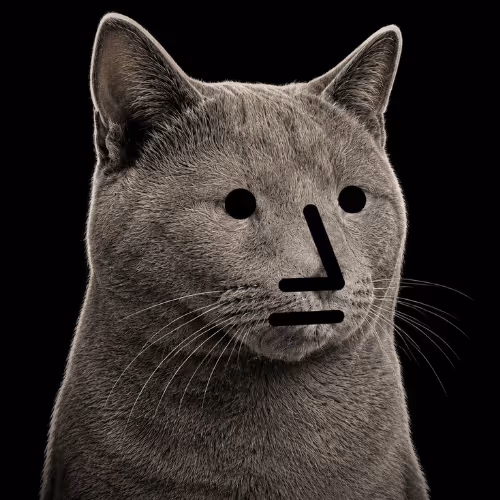 NPC