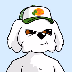 6Ki96W8NzHdJYcm5V4nGSNoVV9fjJrUMZyHgHyQij99R